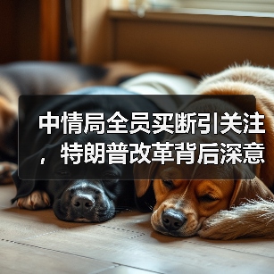 中情局全员买断引关注,特朗普改革背后深意何在?(图4) 中情局全员买断引关注,特朗普改革背后深意何在?(图4)