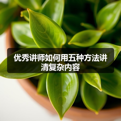优秀讲师如何用五种方法讲清复杂内容(图1) 优秀讲师如何用五种方法讲清复杂内容(图1)