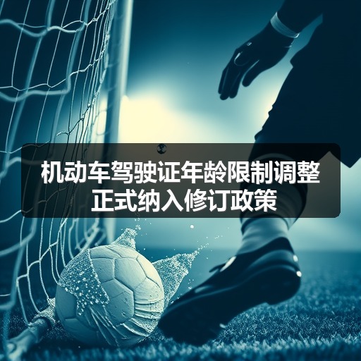 机动车驾驶证年龄限制调整 正式纳入修订政策(图2) 机动车驾驶证年龄限制调整 正式纳入修订政策(图2)