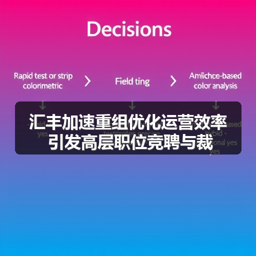 汇丰加速重组优化运营效率 引发高层职位竞聘与裁员(图2) 汇丰加速重组优化运营效率 引发高层职位竞聘与裁员(图2)