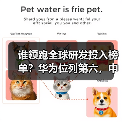 谁领跑全球研发投入榜单？华为位列第六，中美欧企业占据主导（图3）