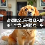 谁领跑全球研发投入榜单？华为位列第六，中美欧企业占据主导（图4）