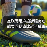 互联网用户投诉服务功能类问题占比近半成主要矛盾（图2）