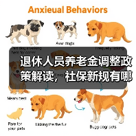 退休人员养老金调整政策解读，社保新规有哪些变化？（图1）