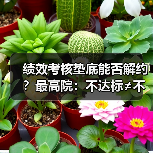 绩效考核垫底能否解约？最高院：不达标≠不能胜任（图2）