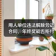 用人单位违法解除劳动合同，年终奖能否拒付？（图4）