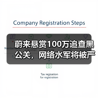 蔚来悬赏100万追查黑公关，网络水军将被严惩（图4）