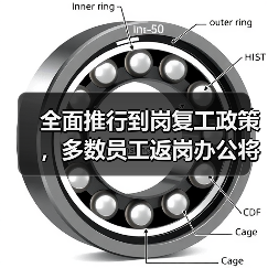 全面推行到岗复工政策，多数员工返岗办公将如何影响效率？（图2）