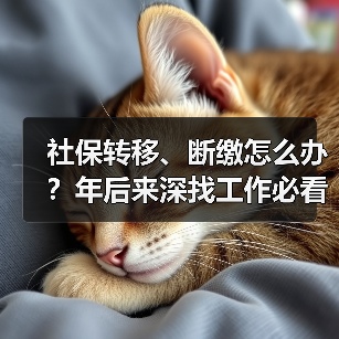 社保转移、断缴怎么办？年后来深找工作必看！（图2）