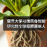 复旦大学可信具身智能研究院全球招聘高薪人才60万起（图3）