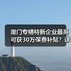 厦门专精特新企业最高可获30万保费补贴？详解政策要点（图2）