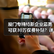 厦门专精特新企业最高可获30万保费补贴？详解政策要点（图1）