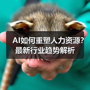 AI如何重塑人力资源？最新行业趋势解析（图4）