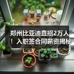 郑州比亚迪直招2万人！入职签合同薪资揭秘（图2）