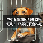 中小企业如何抓住政策红利？17部门联合推动