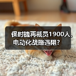 保时捷再裁员1900人，电动化战略遇阻？（图4）