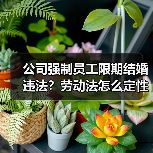 公司强制员工限期结婚违法？劳动法怎么定性？（图1）