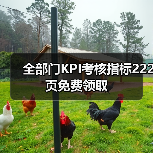 全部门KPI考核指标222页免费领取（图1）