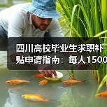 四川高校毕业生求职补贴申请指南：每人1500元怎么领？（图1）