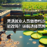 灵活就业人员缴费档次能改吗？详解选择范围与调整规则（图4）