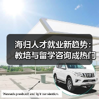 海归人才就业新趋势：教培与留学咨询成热门选择（图2）