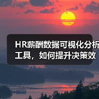 HR薪酬数据可视化分析工具，如何提升决策效率？（图3）