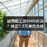 试用期工资8000合法吗?转正1.5万是否合规?(图1) 试用期工资8000合法吗?转正1.5万是否合规?(图1)