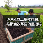 DOGE员工集体辞职,马斯克改革真的靠谱吗?(图1) DOGE员工集体辞职,马斯克改革真的靠谱吗?(图1)