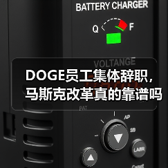 DOGE员工集体辞职,马斯克改革真的靠谱吗?(图4) DOGE员工集体辞职,马斯克改革真的靠谱吗?(图4)