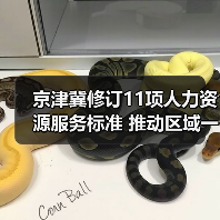 京津冀修订11项人力资源服务标准 推动区域一体化进程(图3) 京津冀修订11项人力资源服务标准 推动区域一体化进程(图3)