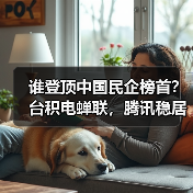 谁登顶中国民企榜首?台积电蝉联,腾讯稳居第二,华为强势重返前十(图3) 谁登顶中国民企榜首?台积电蝉联,腾讯稳居第二,华为强势重返前十(图3)