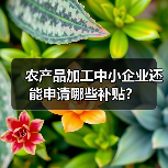 农产品加工中小企业还能申请哪些补贴？（图2）
