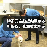 腾讯元宝数据归属争议引热议,张军致歉承诺权属不变(图3) 腾讯元宝数据归属争议引热议,张军致歉承诺权属不变(图3)