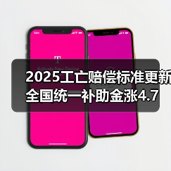 2025工亡赔偿标准更新 全国统一补助金涨4.7万引关注(图3) 2025工亡赔偿标准更新 全国统一补助金涨4.7万引关注(图3)