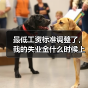 最低工资标准调整了，我的失业金什么时候上调？（图4）