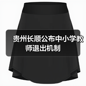 贵州长顺公布中小学教师退出机制(图4) 贵州长顺公布中小学教师退出机制(图4)
