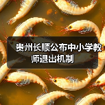 贵州长顺公布中小学教师退出机制(图3) 贵州长顺公布中小学教师退出机制(图3)