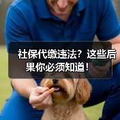 社保代缴违法？这些后果你必须知道！（图4）
