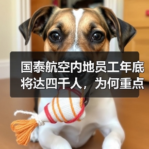 国泰航空内地员工年底将达四千人,为何重点招聘这些岗位?(图4) 国泰航空内地员工年底将达四千人,为何重点招聘这些岗位?(图4)