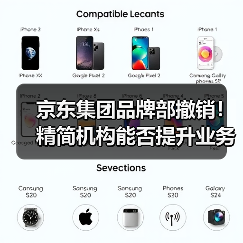 京东集团品牌部撤销!精简机构能否提升业务效率?(图3) 京东集团品牌部撤销!精简机构能否提升业务效率?(图3)