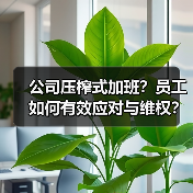 公司压榨式加班?员工如何有效应对与维权?(图3) 公司压榨式加班?员工如何有效应对与维权?(图3)