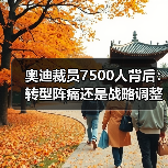 奥迪裁员7500人背后:转型阵痛还是战略调整?(图2) 奥迪裁员7500人背后:转型阵痛还是战略调整?(图2)