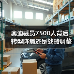 奥迪裁员7500人背后:转型阵痛还是战略调整?(图4) 奥迪裁员7500人背后:转型阵痛还是战略调整?(图4)