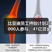 比亚迪员工持股计划25000人参与,41亿资金分3期解锁(图4) 比亚迪员工持股计划25000人参与,41亿资金分3期解锁(图4)