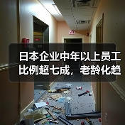 日本企业中年以上员工比例超七成，老龄化趋势引担忧（图4）