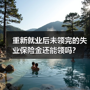 重新就业后未领完的失业保险金还能领吗？（图4）