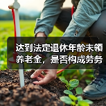 达到法定退休年龄未领养老金,是否构成劳务关系?(图3) 达到法定退休年龄未领养老金,是否构成劳务关系?(图3)