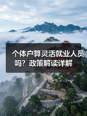 个体户算灵活就业人员吗？政策解读详解（图4）