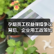 孕期员工权益保障争议背后，企业用工政策如何调整？（图2）