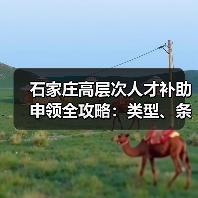 石家庄高层次人才补助申领全攻略：类型、条件与流程详解（图3）